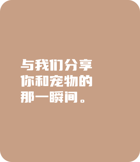 米兰·(milan)中国官方网站宠物，无处不在